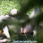 Man Watches Neighbor Girl Masturbating